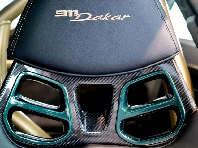 Close-up-headrest-911-Dakar