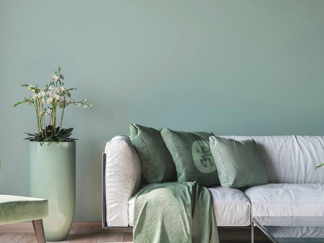 Single-color-mood-image-of-a-living-room-in-mint-green-with-a-white-couch-and-green-textiles