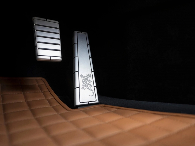 Detailed-view-of-a-vehicle-interior-brown-with-wiesmann-logo
